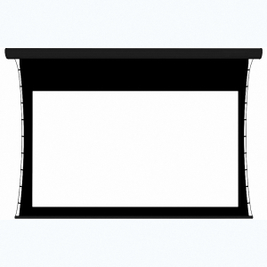 Экран настенный с электроприводом DSTPX-16915 - fgospostavki.ru - Балашиха