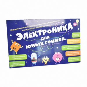 Игровой комплекс Электроника для юных гениев - fgospostavki.ru - Балашиха