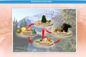 Интерактивные курсы. Биология 7 класс. Базовый. - fgospostavki.ru - Балашиха