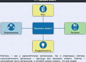 Интерактивные курсы. Биология 5 класс. Базовый - fgospostavki.ru - Балашиха