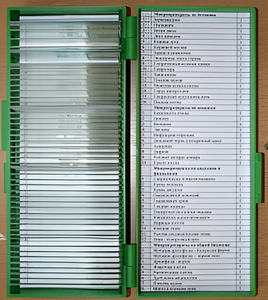 Набор микропрепаратов - fgospostavki.ru - Балашиха