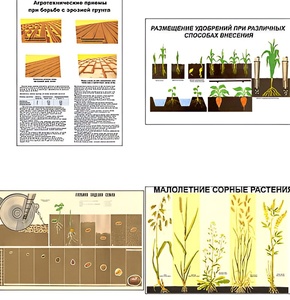 Плакаты ПРОФТЕХ "Агрономия" (5 пл, винил, 70х100) - fgospostavki.ru - Балашиха
