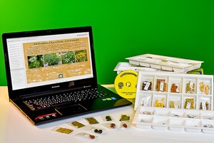 Коллекция натурально-интерактивная "Плоды сельскохозяйственных растений" - fgospostavki.ru - Балашиха