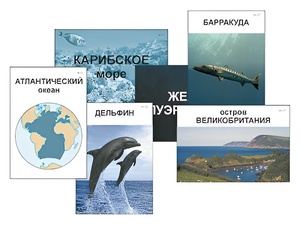 Модель-аппликация "Океаны. Знакомство" (ламинированная) - fgospostavki.ru - Балашиха