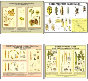 Плакаты ПРОФТЕХ "Вредители и болезни с/х культур и меры борьбы с ними" (11 пл, винил, 70х100) - fgospostavki.ru - Балашиха