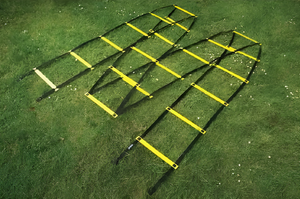 Лестница для тренировок (вариант 1) - fgospostavki.ru - Балашиха