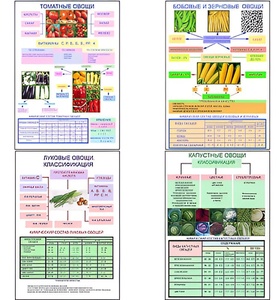 Плакаты ПРОФТЕХ "Классификация овощей" (11 пл, винил, 70х100) - fgospostavki.ru - Балашиха