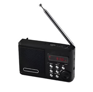 Радиоприемник цифровой с крупными кнопками - fgospostavki.ru - Балашиха