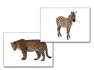 Дидактическое пособие "Дикие животные" - fgospostavki.ru - Балашиха