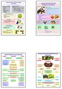 Плакаты ПРОФТЕХ "Классификация овощей и переработка" (8 пл, винил, 70х100) - fgospostavki.ru - Балашиха