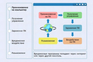 Интерактивные курсы. Информатика 10 класс . Базовый. - fgospostavki.ru - Балашиха