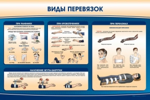 Стенд "Виды перевязок" - fgospostavki.ru - Балашиха