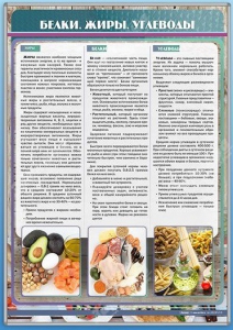 Стенд "Белки. Жиры. Углеводы" - fgospostavki.ru - Балашиха