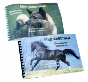 Пособие для слабовидящих - Домашние животные - fgospostavki.ru - Балашиха