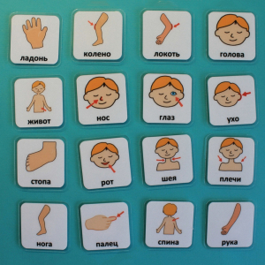 Набор карточек "Части тела" - fgospostavki.ru - Балашиха
