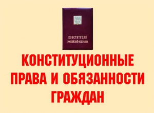 Комплект плакатов "Конституционные права и обязанности граждан" - fgospostavki.ru - Балашиха