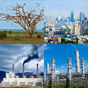 Модель-аппликация Биосфера и человек - fgospostavki.ru - Балашиха