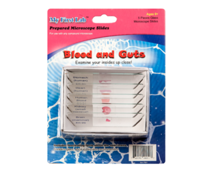 Набор микропрепаратов для микроскопа №1 «Человек» - fgospostavki.ru - Балашиха