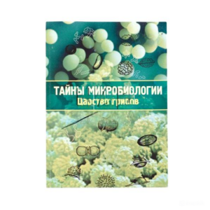 Набор «Тайны микробиологии» (Царство грибов) - fgospostavki.ru - Балашиха