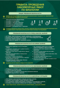 Стенд "Правила выполнения лабораторных работ по биологии" Вариант 1 - fgospostavki.ru - Балашиха