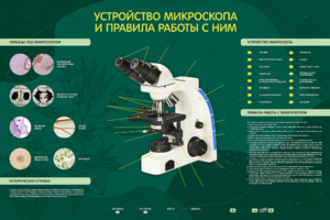Электрифицированный стенд "Устройство микроскопа и правила работы c ним" - fgospostavki.ru - Балашиха