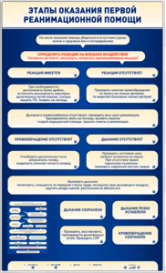 Электрифицированный стенд-тренажер "Этапы оказания первой реанимационной помощи" - fgospostavki.ru - Балашиха