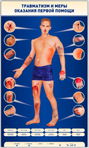 Электрифицированный стенд-тренажер "Травматизм и меры оказания первой помощи" - fgospostavki.ru - Балашиха