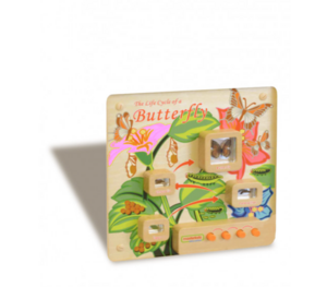 Панель «Жизненный цикл бабочки» - fgospostavki.ru - Балашиха