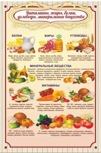 Стенд "Витамины, жиры, белки" - fgospostavki.ru - Балашиха