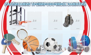 Стенд "Расписание тренировочных занятий" - fgospostavki.ru - Балашиха