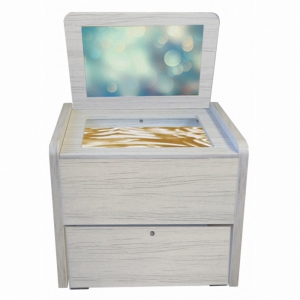 Сундучок психолога-дефектолога "Антошка" - fgospostavki.ru - Балашиха