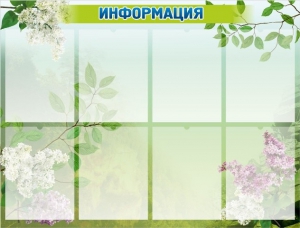 Стенд "Информация" Вариант 13 - fgospostavki.ru - Балашиха