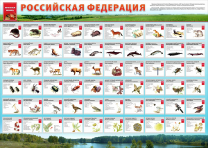 Стенд "Красная книга РФ" - fgospostavki.ru - Балашиха
