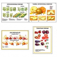 Плакаты ПРОФТЕХ "Ассортимент овощных культур" (12 пл, винил, 70х100) - fgospostavki.ru - Балашиха