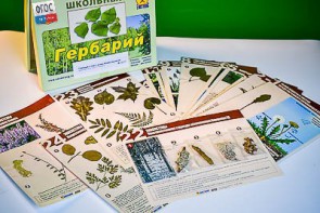 Гербарий к курсу основ общей биологии - fgospostavki.ru - Балашиха