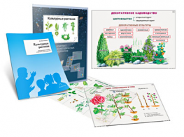 Комплект кодотранспарантов "Культурные растения" - fgospostavki.ru - Балашиха