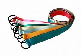 Лента гимнастическая на кольце (0,25 метра) - fgospostavki.ru - Балашиха