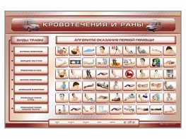Трехсекционный базовый комплект "Травмы. Кровотечения. Ожоги" для учащихся общеобразовательных учреждений - fgospostavki.ru - Балашиха