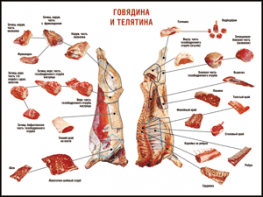 Таблица "Правила разделки мясных туш. Говядина и телятина" (100х140 сантиметров, винил) - fgospostavki.ru - Балашиха
