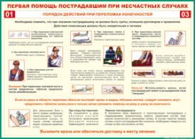 Таблица "Порядок действий при переломах конечностей" (100х140 сантиметров, винил) - fgospostavki.ru - Балашиха