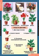 Комплект таблиц. Окружающий мир 1 класс. - fgospostavki.ru - Балашиха