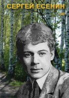 DVD "Сергей Есенин" - fgospostavki.ru - Балашиха