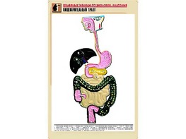 Рельефная таблица "Пищеварительный тракт" (формат А1, матовое ламинирование) - fgospostavki.ru - Балашиха