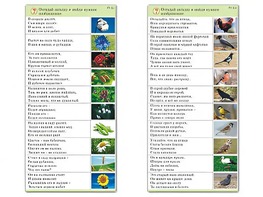 Комплект карточек (10) "Обучающий калейдоскоп. Природа" - fgospostavki.ru - Балашиха