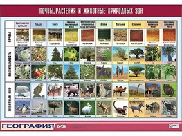 Таблица демонстрационная "Почвы, растения и животные природных зон" (винил 70*100) - fgospostavki.ru - Балашиха