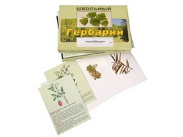 Гербарий "Для начальной школы" (30 видов, с иллюстрациями) - fgospostavki.ru - Балашиха