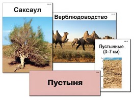 Модель-аппликация "Природные зоны России" (ламинированная) - fgospostavki.ru - Балашиха