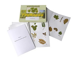 Гербарий "Морфология растений" (6 тем, 30 видов) - fgospostavki.ru - Балашиха