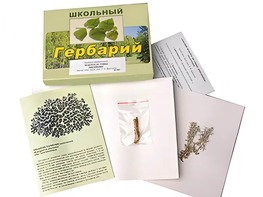 Гербарий "Водоросли. Грибы. Лишайники" (раздаточный) - fgospostavki.ru - Балашиха