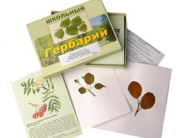 Гербарий "Систематика растений. Семейство Розоцветные" (раздаточный) - fgospostavki.ru - Балашиха